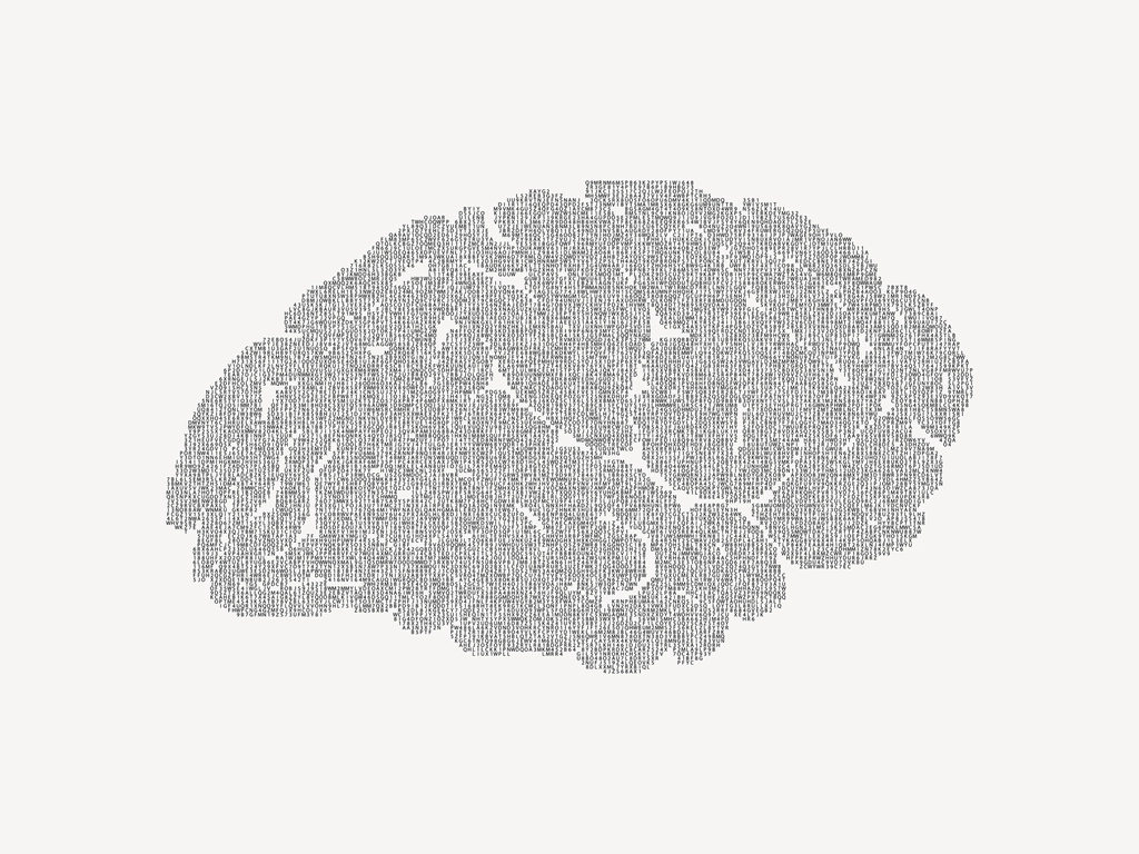 Ilustración de un cerebro humano representando la psicología del inversor